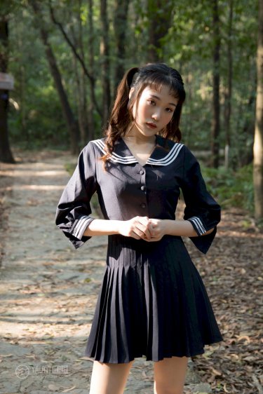 胡狼来了