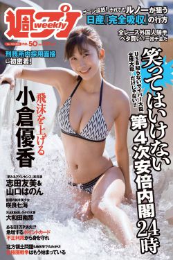 新包青天之开封奇案全集