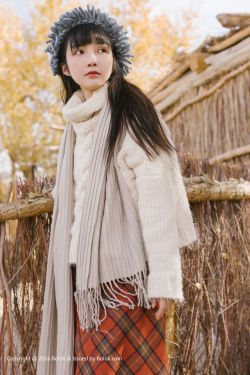 美国派2