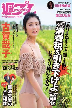 隐形战队粤语