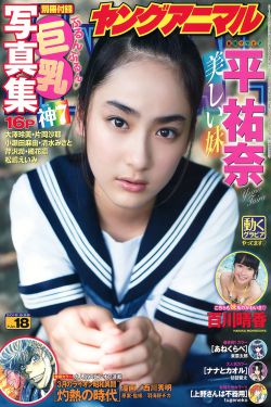 燧石行动免费完整高清播放第一季
