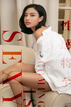 从爱情到幸福电视剧免费观看