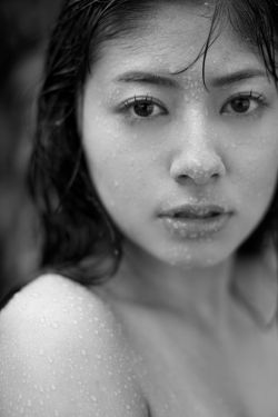 刘家媳妇电视剧全集